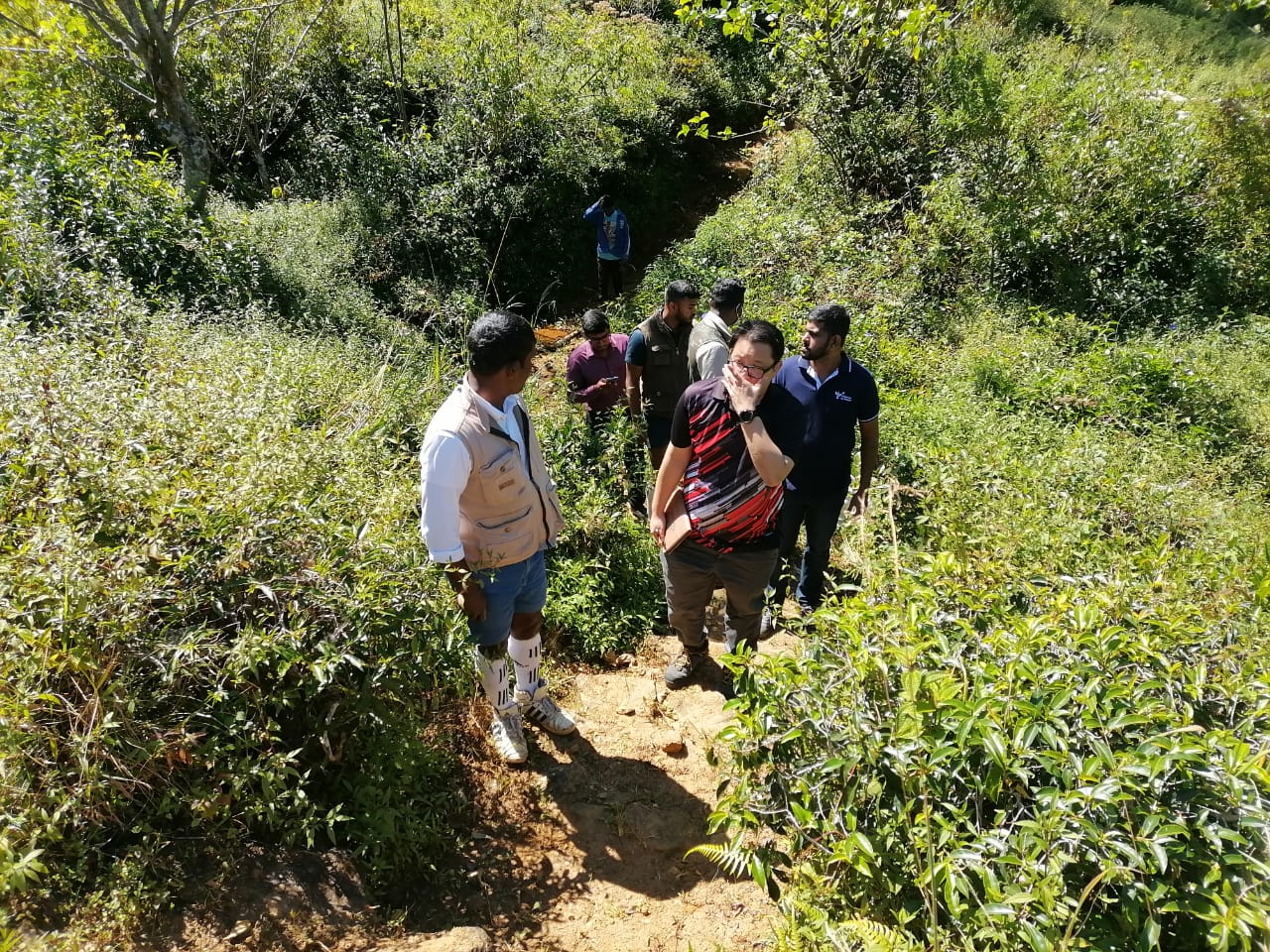 audit field image 10