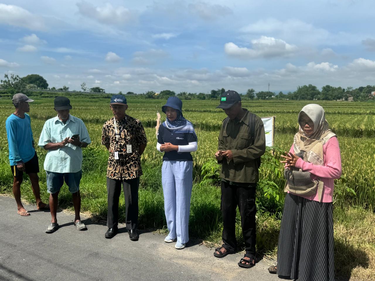 rice field visit