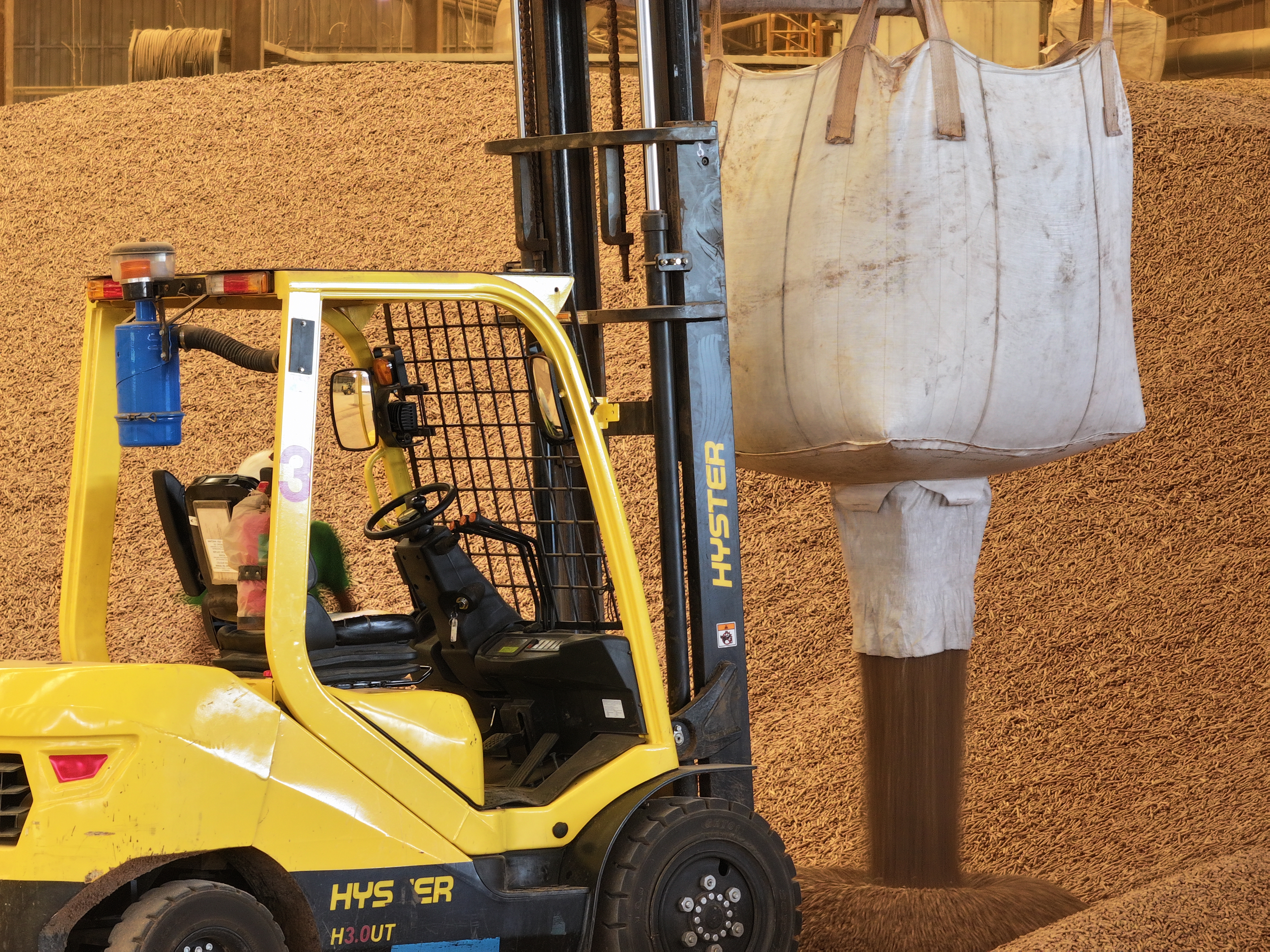 Photo courtesy of PT Parawood