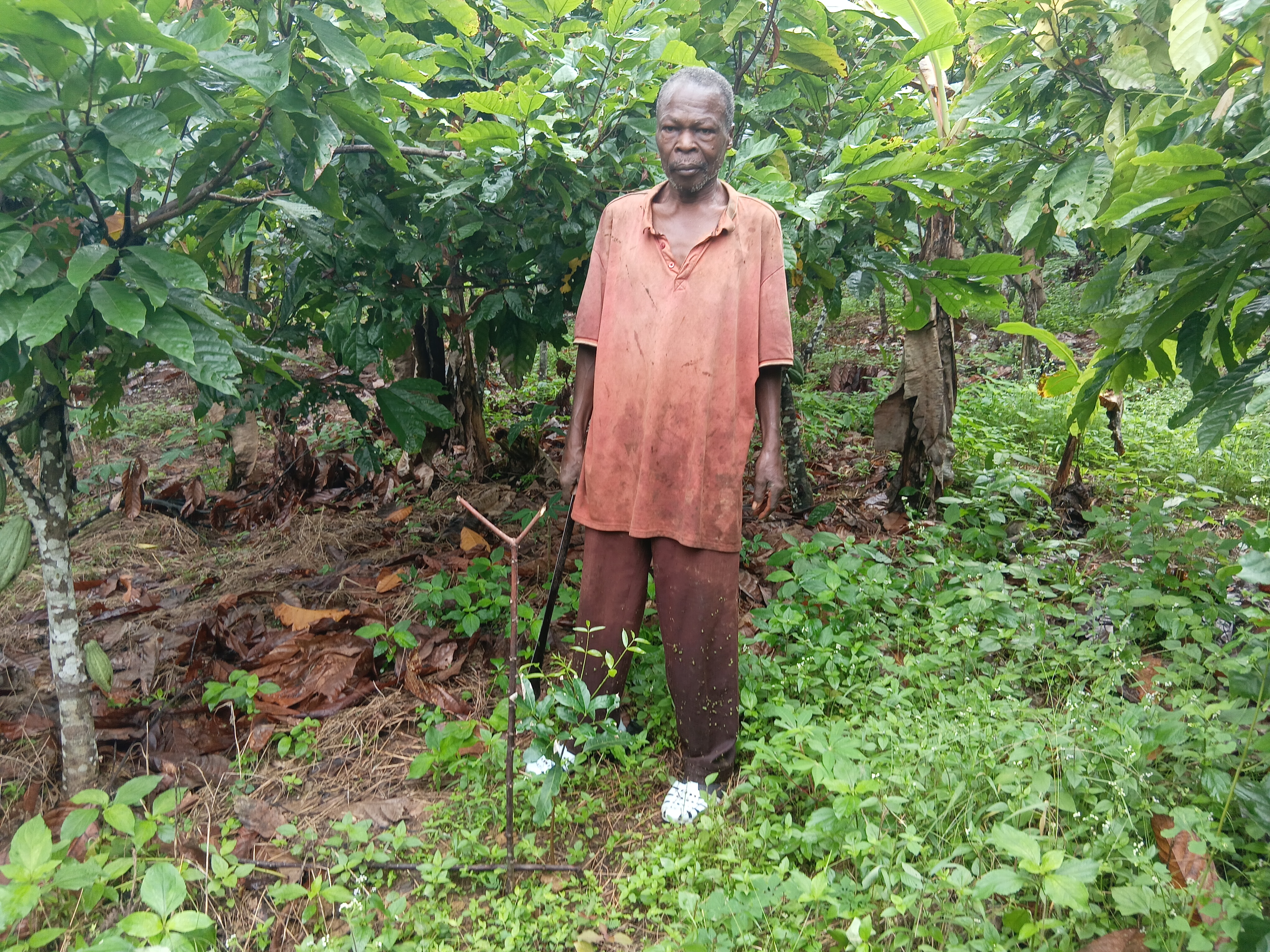 farmer in Ghana