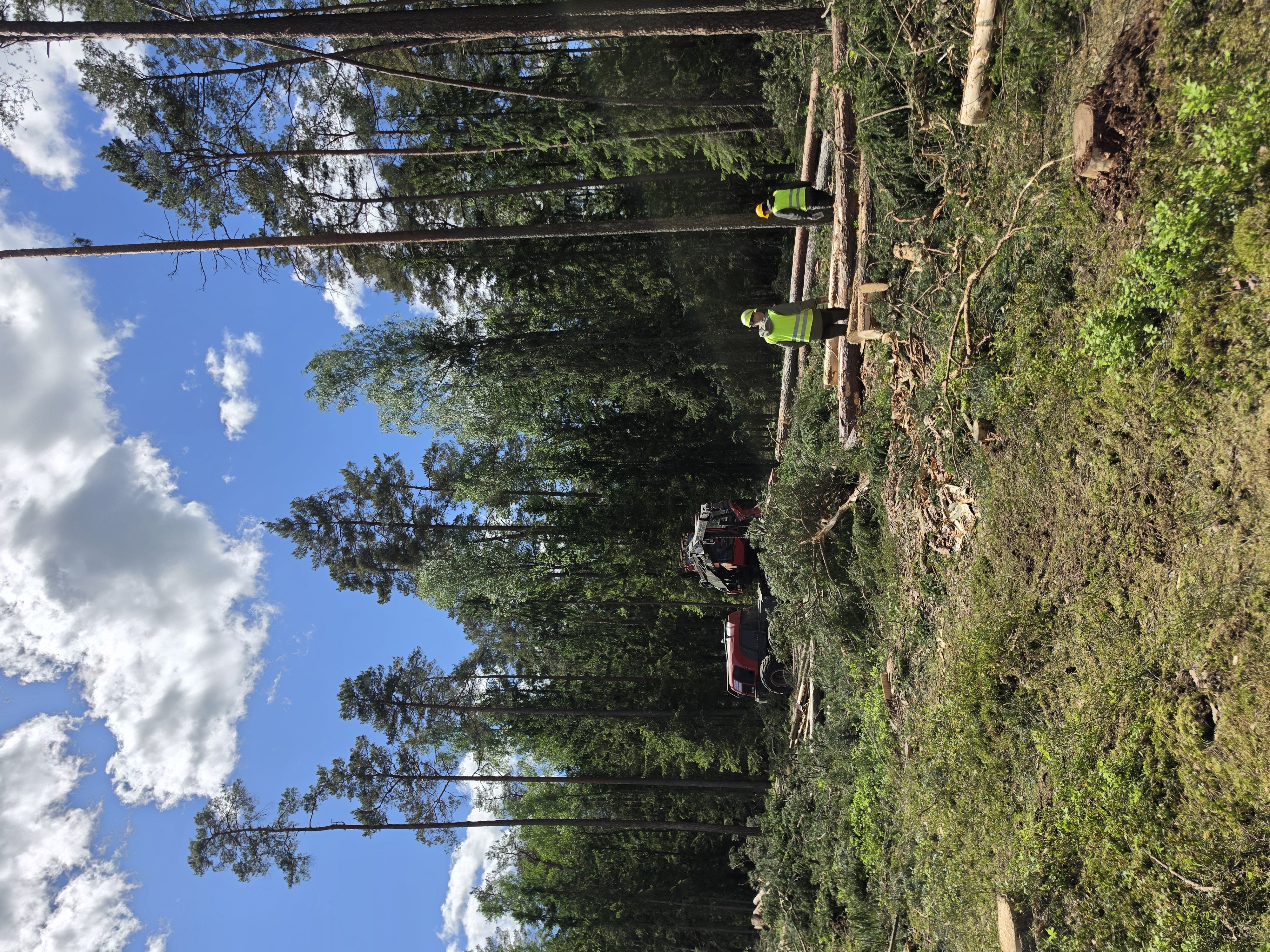 PEFC certified in Lithuania. Copyright 2026 Preferred by Nature.