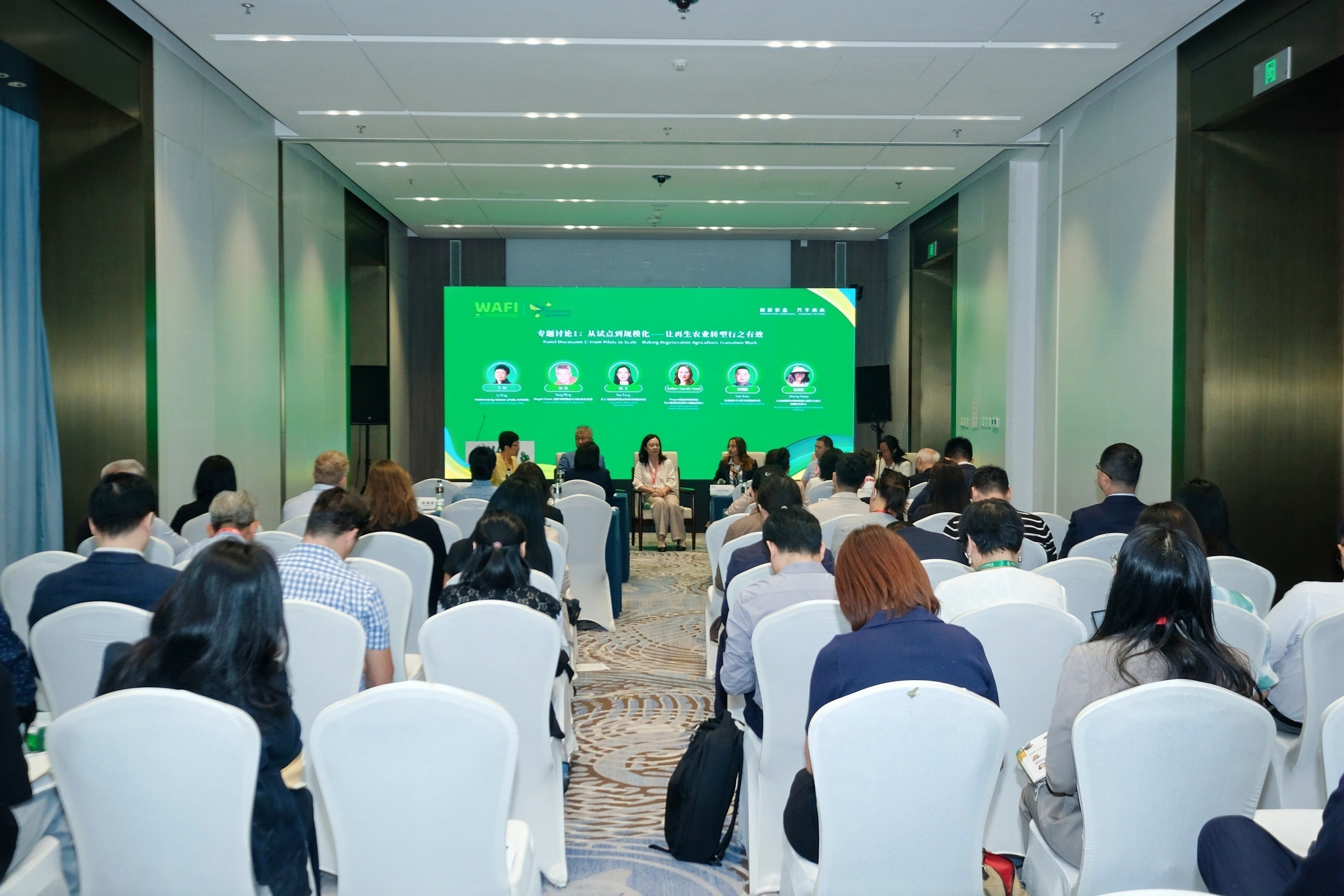 Conference room 