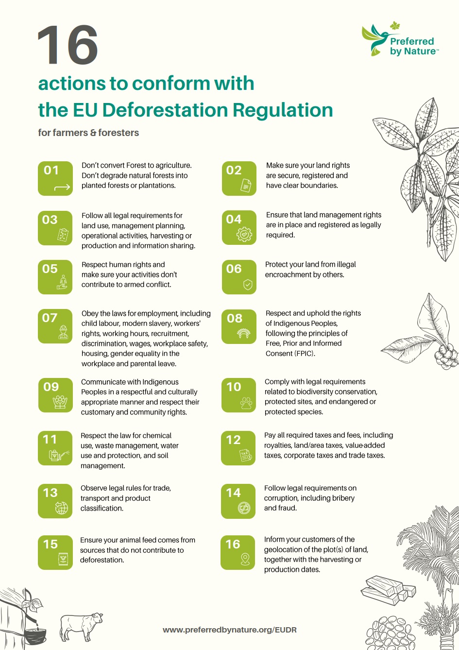 16 项行动以符合《欧盟零毁林法案》  