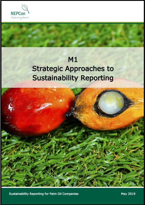 M1 Strategic Approaches to Sustainability Reporting