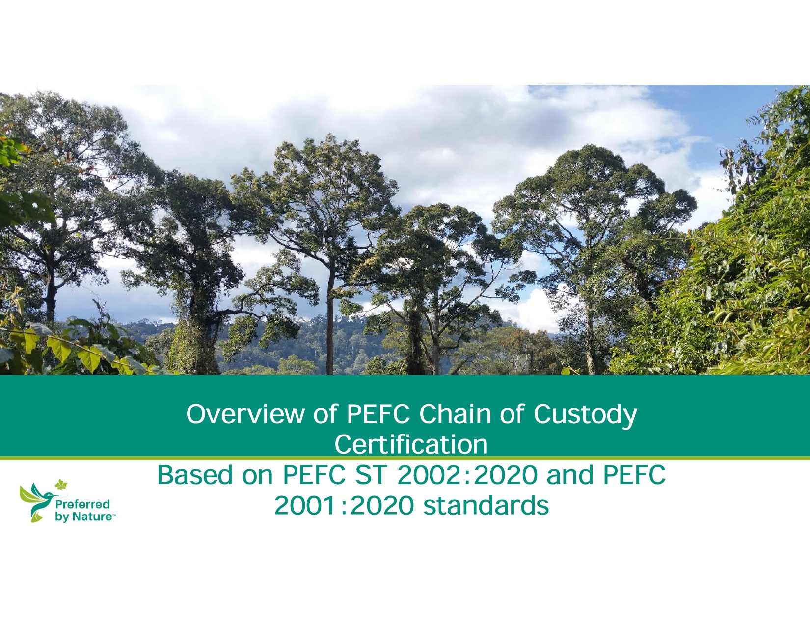 Overview of PEFC Chain of Custody Certification 