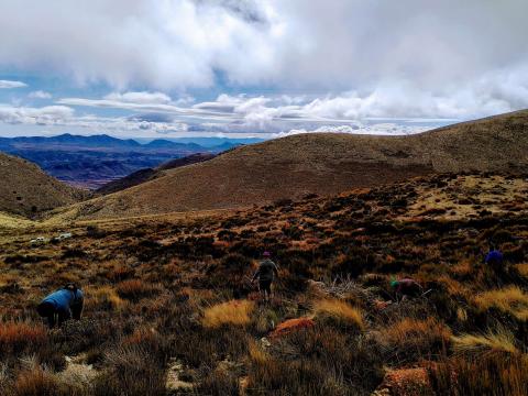 AlVelAl, primer proyecto español verificado bajo el Estándar de Restauración de Ecosistemas Forestales