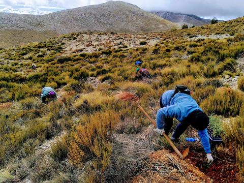 El estándar de oro para la Restauración de Ecosistemas
