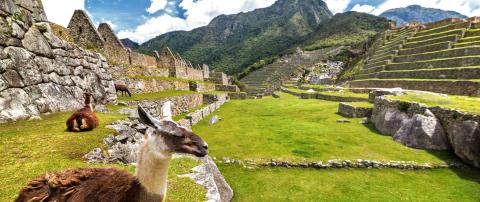 Connect and Collaborate: Responsible tourism navigates to sail through the COVID storm  