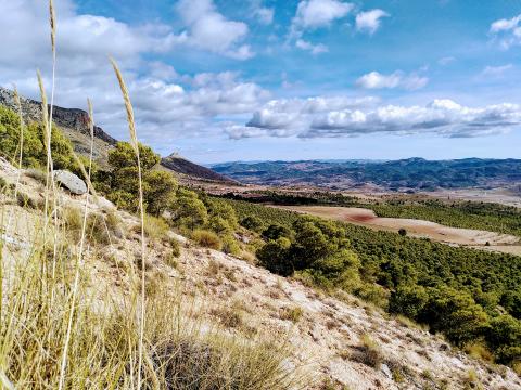 为有效恢复生态系统，世界需要监测与评估