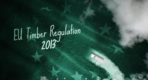Launched: Short training videos on key elements of the EU Timber Regulation