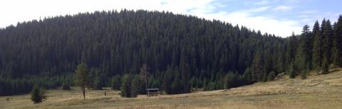 Successful test of new concept to FSC certify family forests