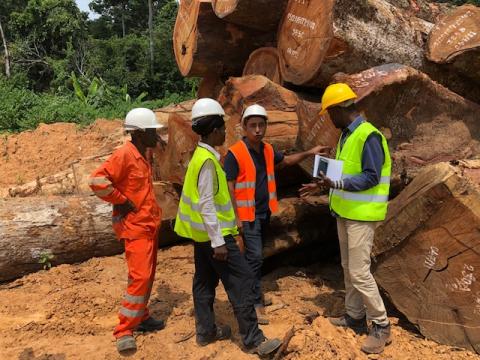 Première certification de légalité dans la République démocratique du Congo en huit ans