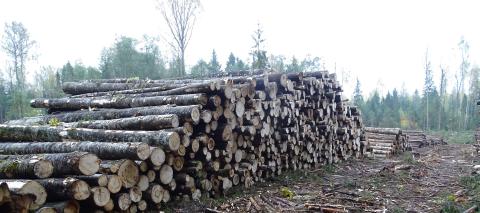 Company risk assessments for Controlled Wood remain valid post-2015