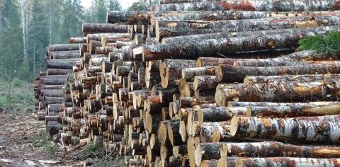 What you need to know about the new FSC Controlled Wood standard V3-1