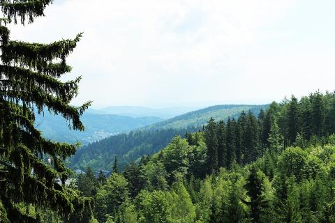 NEPCon expands in Western Europe
