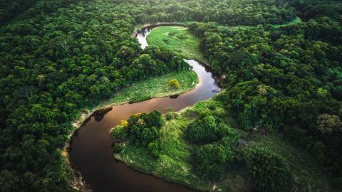 Abordarea Regulamentului UE privind defrisarile si trasabilitatea produselor din sfera sa 