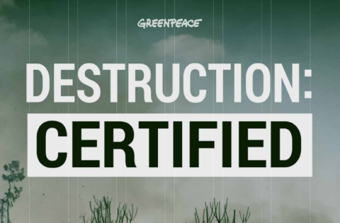 De mouwen zijn opgestroopt: Rainbow Warriors Vs. Duurzame Certificering