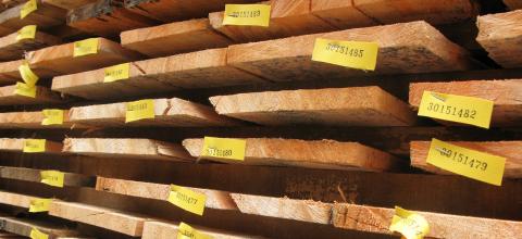 Is it legal? New Rainforest Alliance tools offer enhanced assurance for wood products