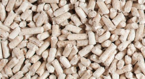 IKEA company earns first SBP certificate for responsible biomass in Poland