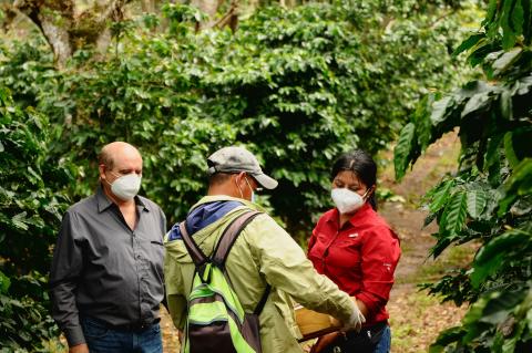 Several updates on the 2020 Rainforest Alliance Certification Programme