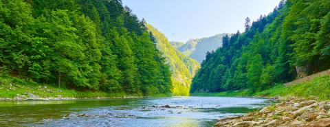  NEPCon recognised as Monitoring Organisation in Iceland, Norway and Liechtenstein