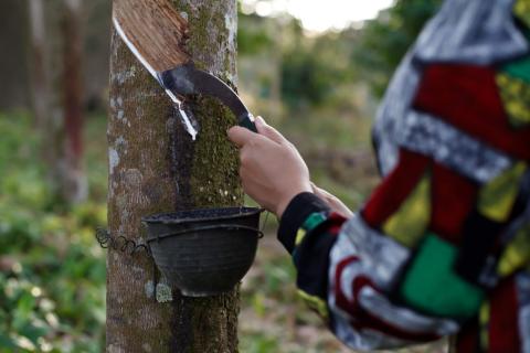 Why is sustainability required in the rubber industry?