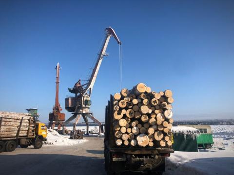 FSC Russia ramps up fight against illegal salvage logging
