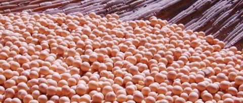 New tools to source palm oil, soy and beef responsibly