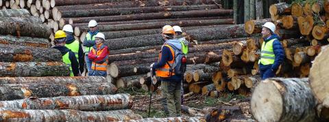 Experiences from the first company to pioneer the new FSC Controlled Wood standard: Stora Enso Wood Supply Russia