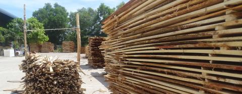 Sourcing FSC Controlled Wood? Beware of new corruption figures