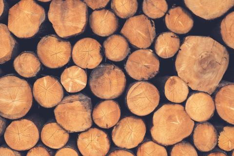 Brexit - Advice for timber importers and exporters
