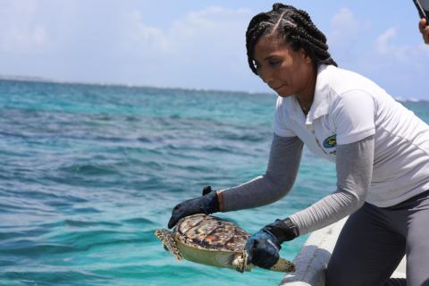 El camino hacia la sostenibilidad: Una mirada a las prácticas responsables de Catalonia Hotels & Resorts 