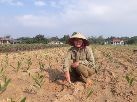 Growing a future: Meet the hardworking women on the frontline of Vietnam’s budding sustainable forestry sector