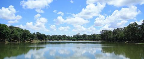 Agri-schemes top driver of forest loss in Cambodia