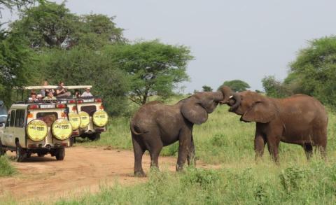 Calling for responsible recovery of the tourism sector