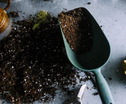 Gardening is now greener with FSC™-certified paper pot  