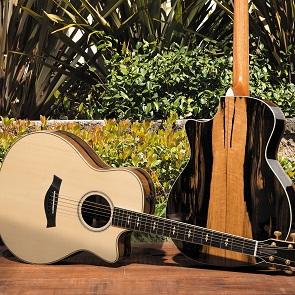 乌木是黑色的吗？再想一想