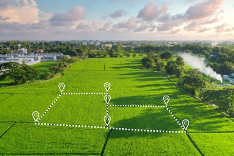 FAO 和 Preferred by Nature 率先为透明供应链制定标准化地理位置数据协议