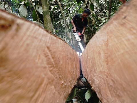¿De dónde proceden nuestras materias primas? Las soluciones basadas en la ciencia ayudan a encontrar la respuesta