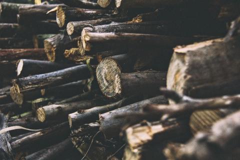 Biochar: New weapon to fight deforestation and climate change?