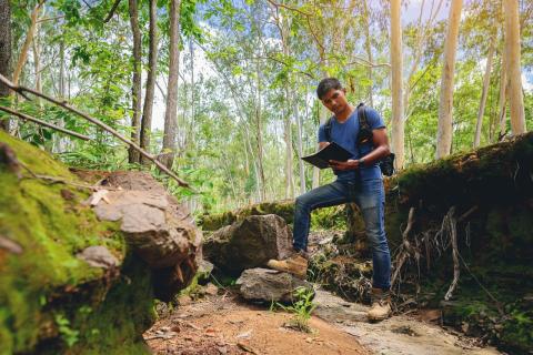 Nuevo reglamento contra la deforestación sustituirá el EUTR