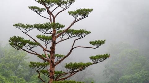 我们的协会政策已完成更新