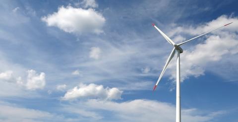 NEPCon releases new carbon management standard