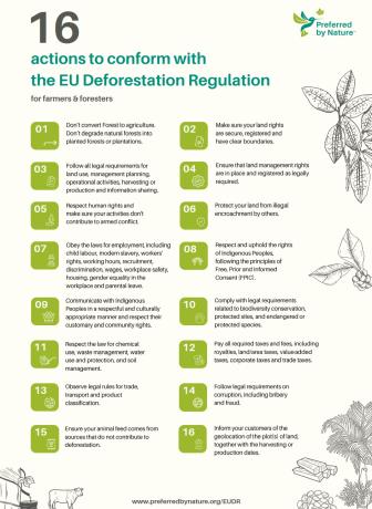 16 项行动以符合《欧盟零毁林法案》  