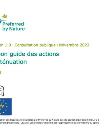 TIMBER - Gabon - Document Guide