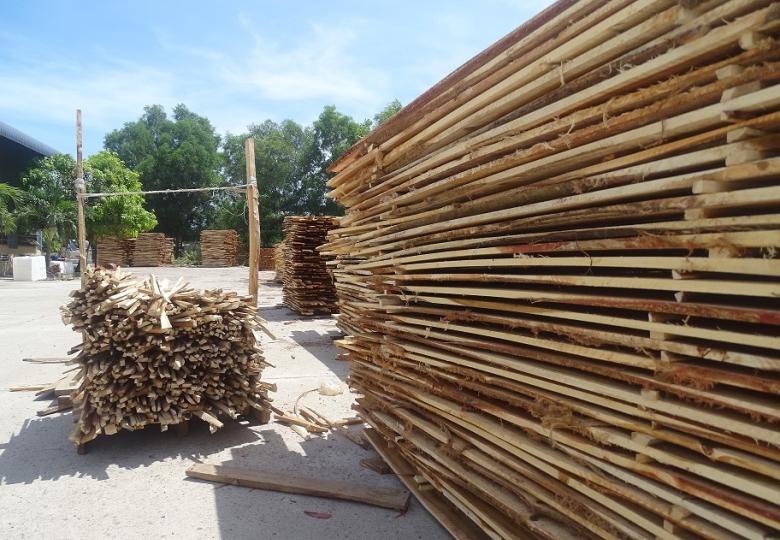 Developing background analyses for Voluntary Partnership Agreement (VPA) support project in Cameroon, Laos and Vietnam 