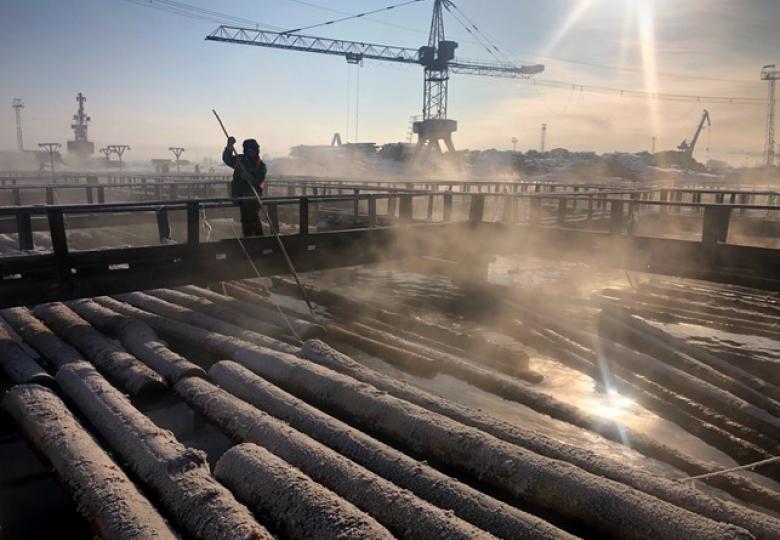 Enabling the Danish timber industry to combat illegal logging