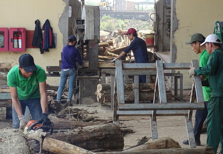 Improving rural livelihoods through wood from sustainable sources