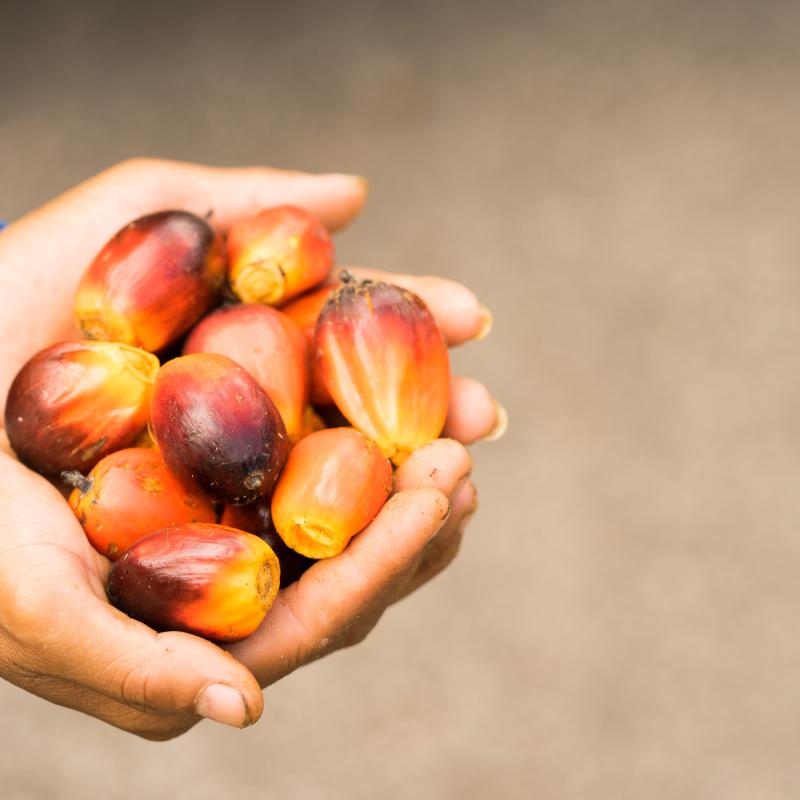 Palm oil