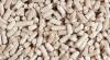 IKEA company earns first SBP certificate for responsible biomass in Poland